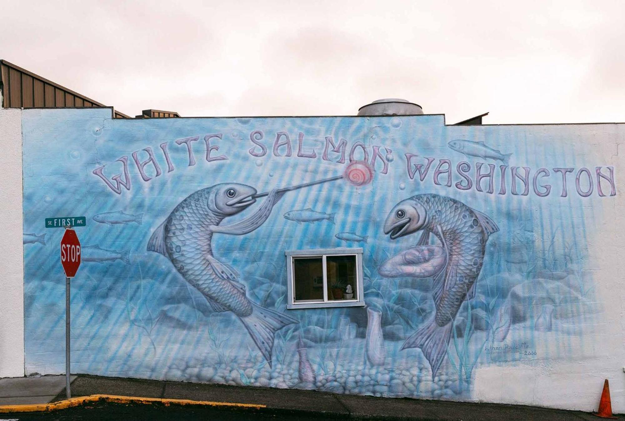 Inn Of The White Salmon Εξωτερικό φωτογραφία